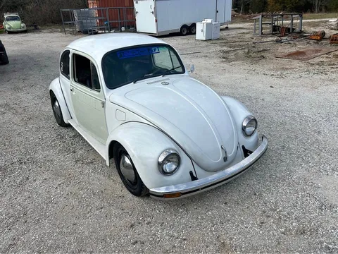1969 Volkswagen Bug