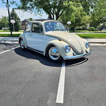 1969 Volkswagen Bug