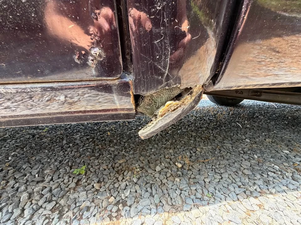 1970 Chevrolet C/K 2nd Gen - Image 18 of 19