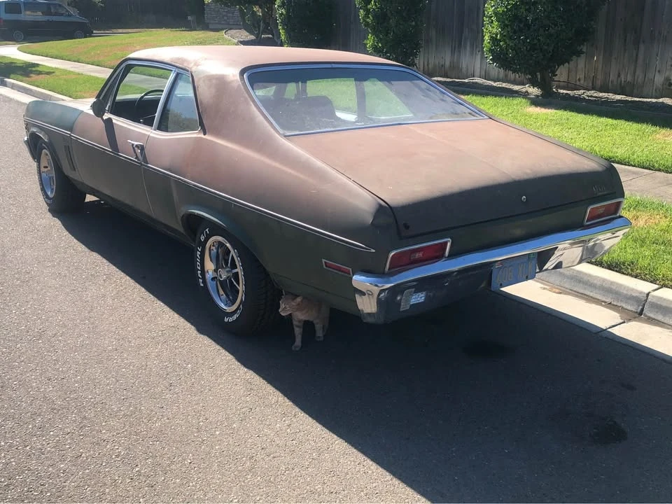 1970 Chevrolet Nova 3rd Gen - Image 2 of 9