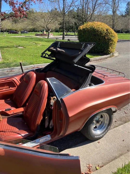 1970 Dodge Challenger 1st Gen - Image 2 of 10