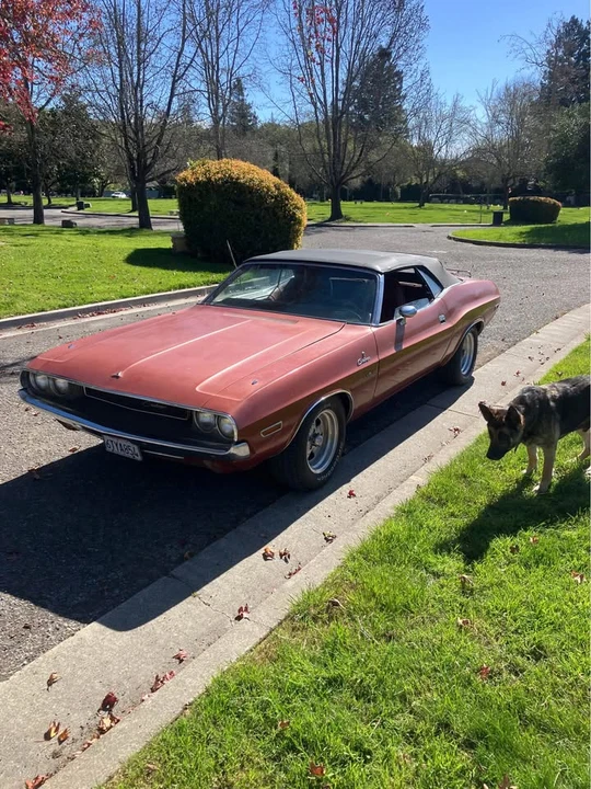1970 Dodge Challenger 1st Gen - Image 10 of 10