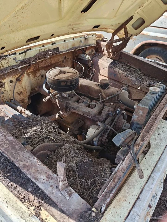 1970 Ford F-Series 5th Gen - Image 13 of 14