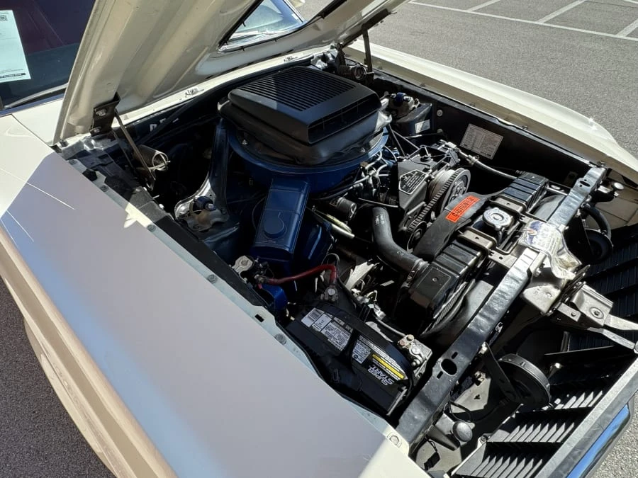 1970 Ford Mustang 1st Gen (1969-1970) - Image 12 of 13