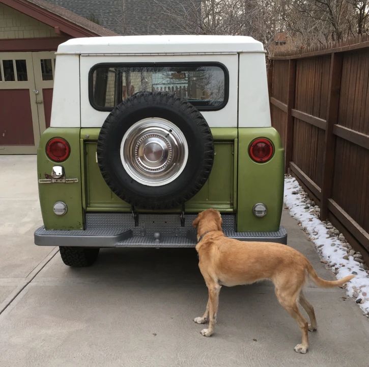 1970 International Harvester Scout - Image 5 of 31