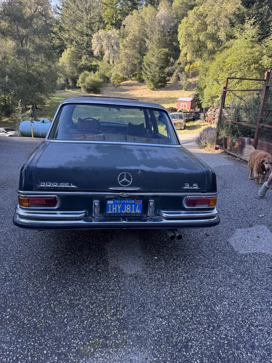 1970 Mercedes-Benz W108 & W109 - Image 14 of 31