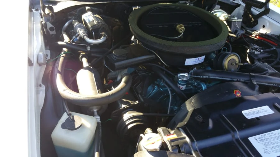 1970 Oldsmobile 442 2nd Gen - Image 4 of 6