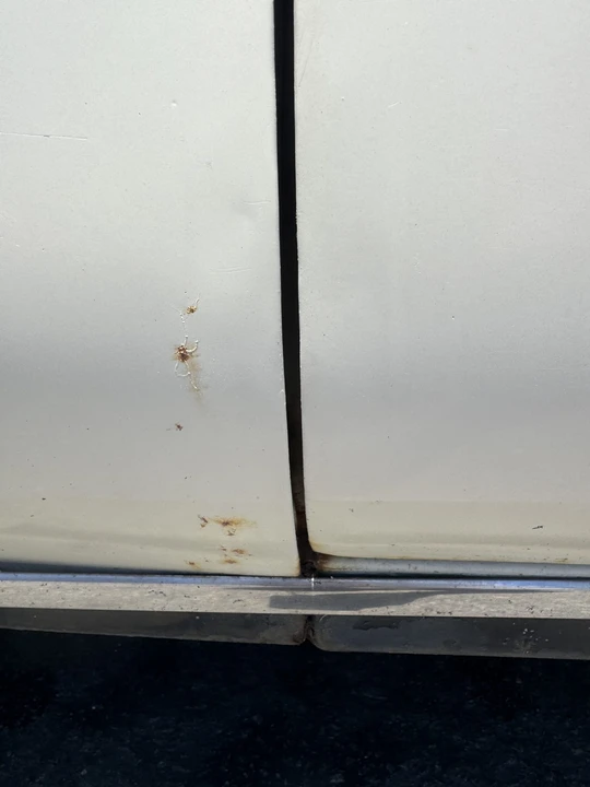 1970 Rover - Image 19 of 31