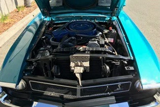 1970 Shelby GT350 - Image 3 of 8