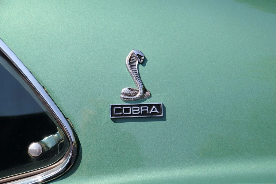 1970 Shelby GT350 - Image 15 of 31