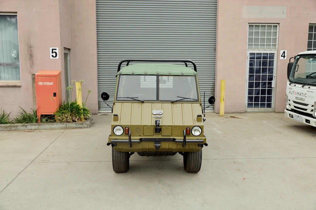 1970 Steyr-Puch Haflinger - Image 9 of 31