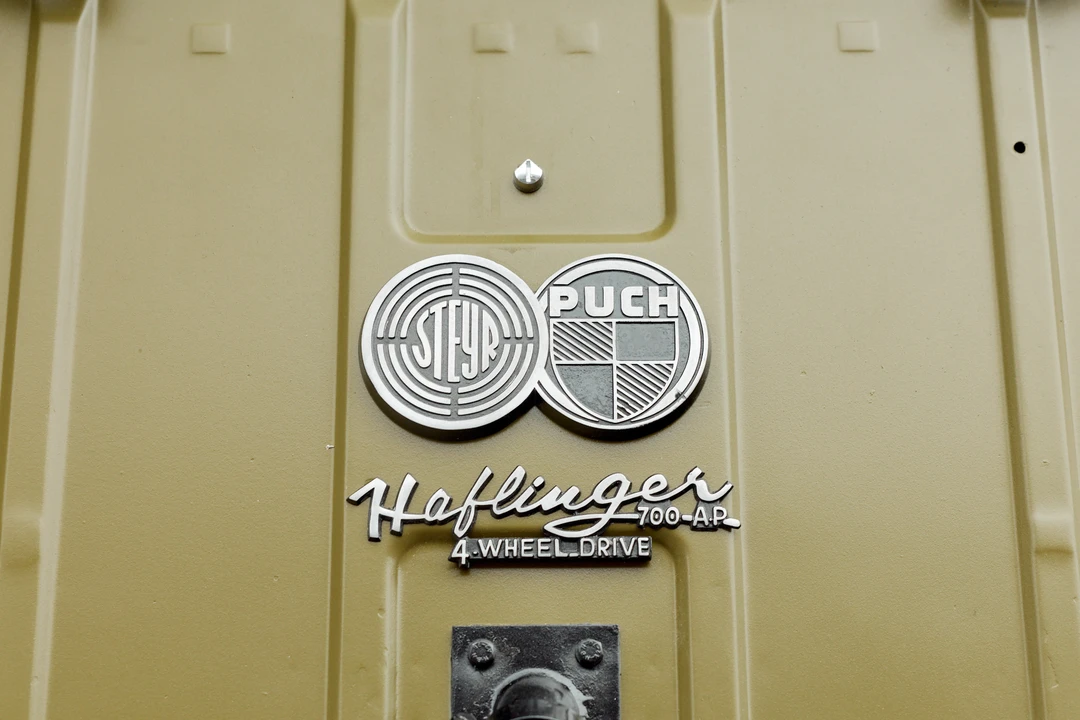 1970 Steyr-Puch Haflinger - Image 30 of 31