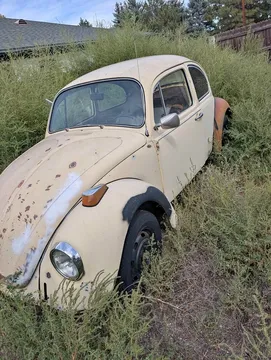 1970 Volkswagen Beetle Hatchback 2D
