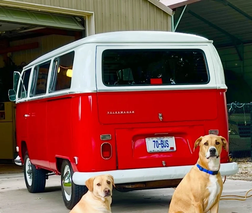 1970 Volkswagen Bay-Window Bus - Image 5 of 17