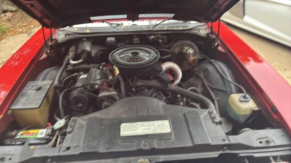 1971 Buick Skylark 3rd Gen - Image 7 of 8