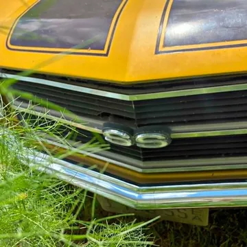 1971 Chevrolet Chevelle SS Malibu