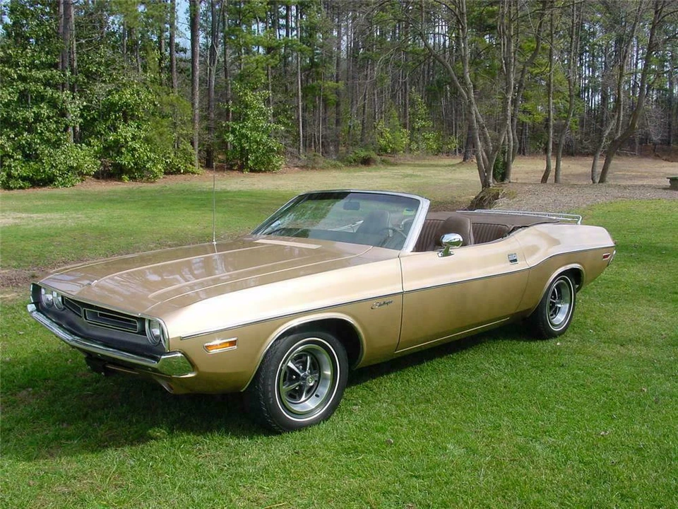 1971 Dodge Challenger 1st Gen - Image 2 of 5