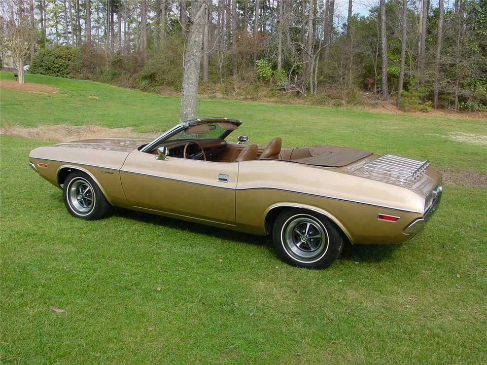 1971 Dodge Challenger 1st Gen - Image 5 of 5