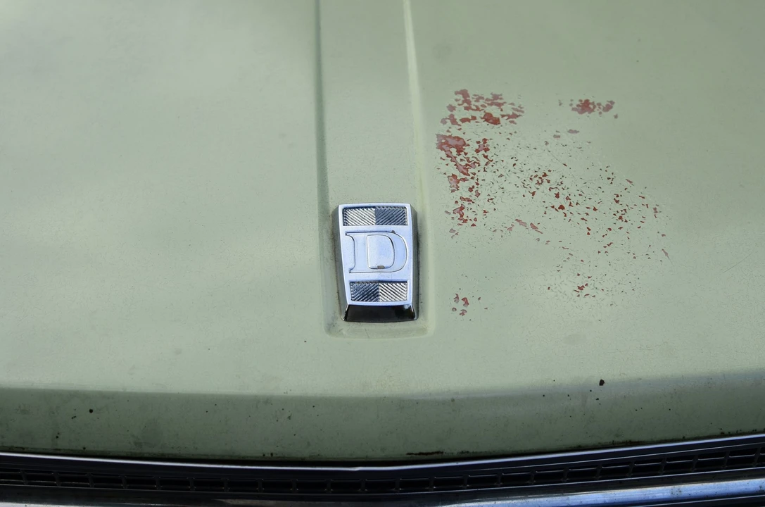 1971 Nissan - Image 14 of 31