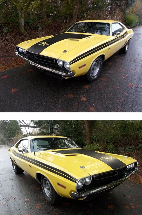 1971 Dodge Challenger 1st Gen - Image 3 of 9