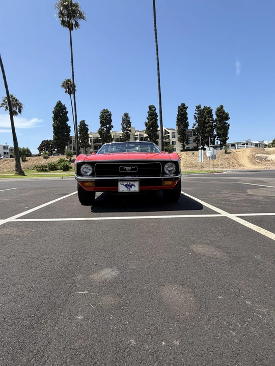 1971 Ford Mustang 1st Gen (1971-1973) - Image 25 of 31