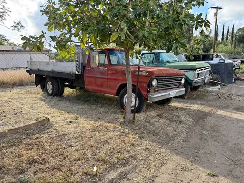 1971 Ford F100 X