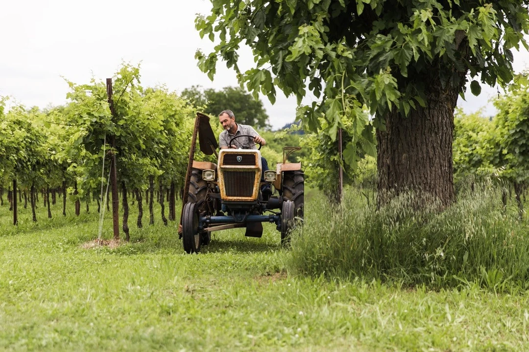 1971 Lamborghini Tractors - Image 13 of 30