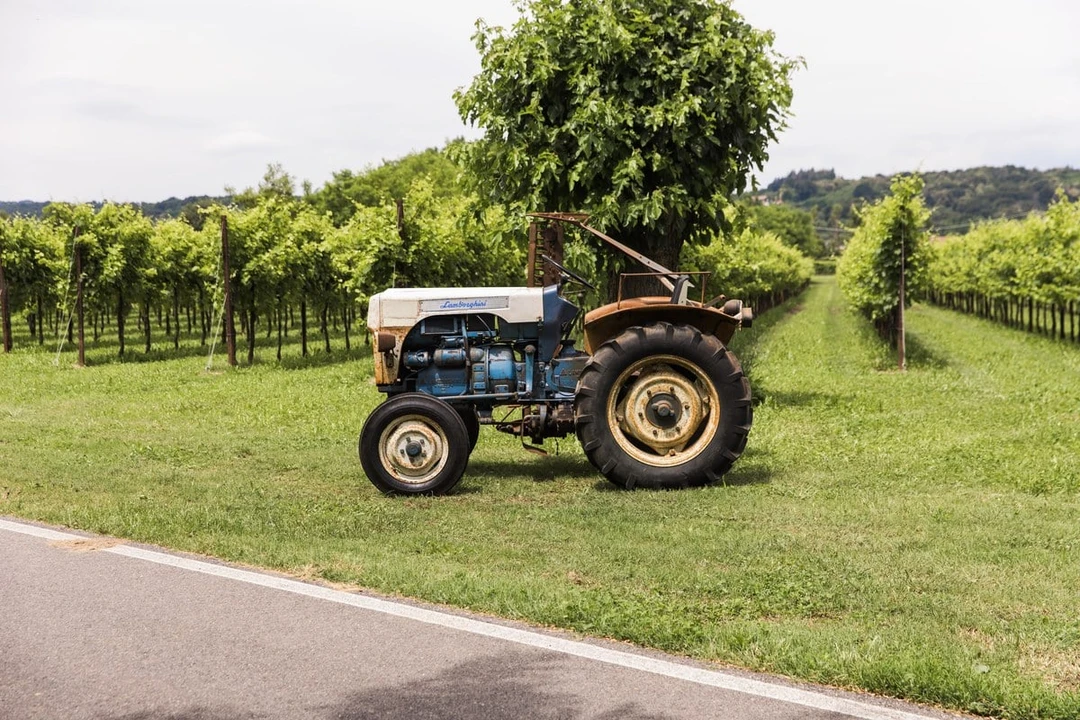 1971 Lamborghini Tractors - Image 7 of 30