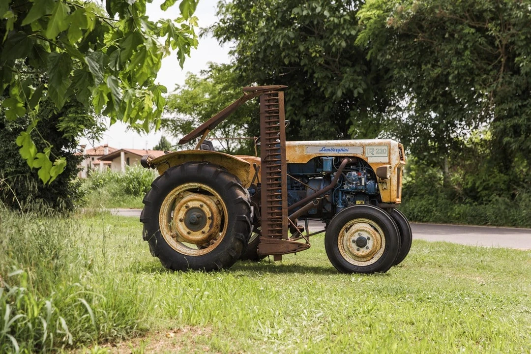 1971 Lamborghini Tractors - Image 3 of 30