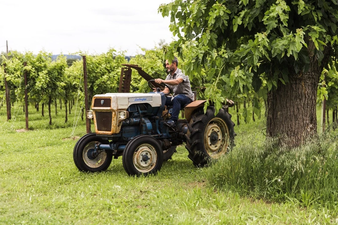 1971 Lamborghini Tractors - Image 14 of 30