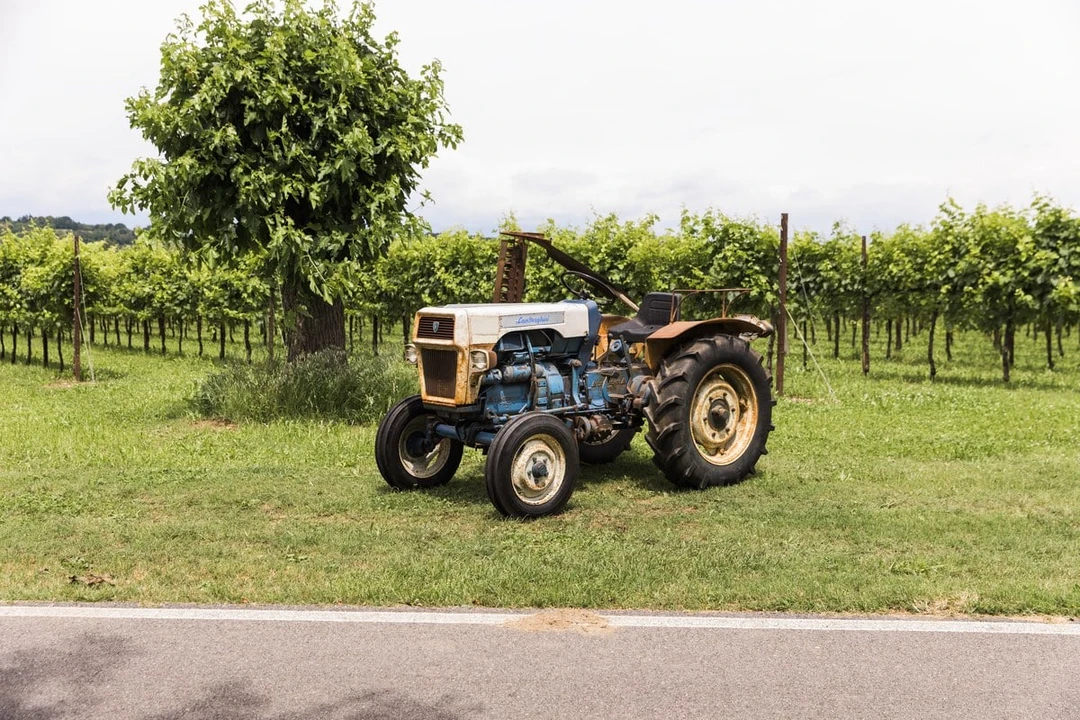1971 Lamborghini Tractors - Image 8 of 30