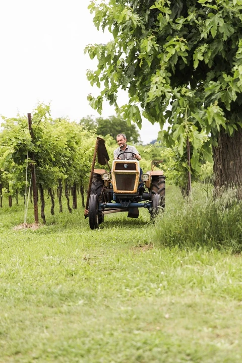 1971 Lamborghini Tractors - Image 12 of 30