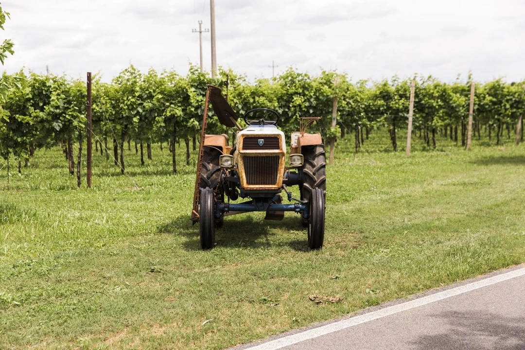 1971 Lamborghini Tractors - Image 2 of 30