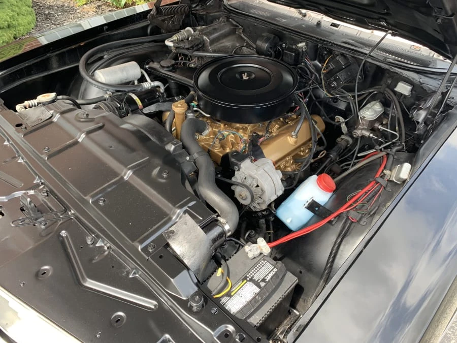 1971 Oldsmobile Cutlass 3rd Gen - Image 7 of 8