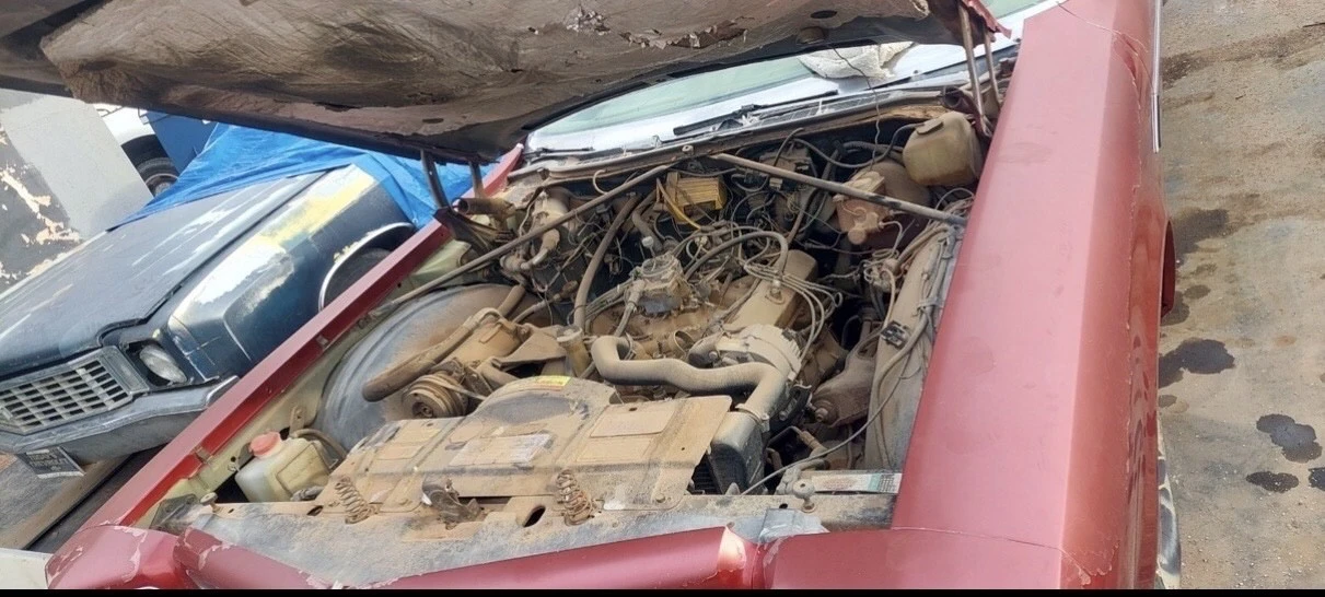 1971 Oldsmobile 88 - Image 19 of 19