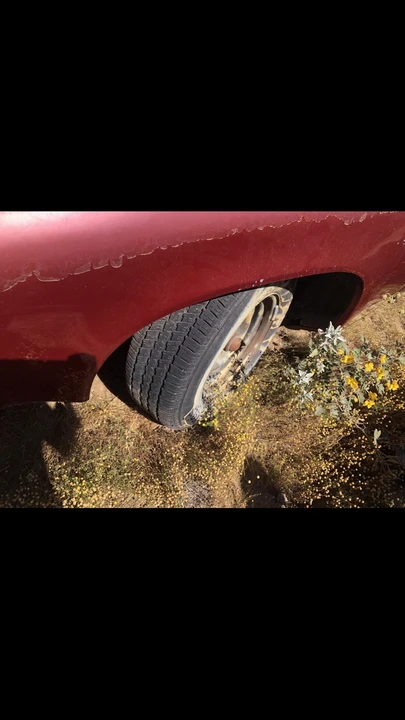 1971 Oldsmobile 88 - Image 7 of 19
