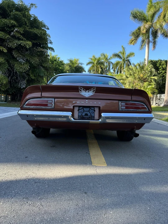 1971 Pontiac Firebird 2nd Gen - Image 31 of 31