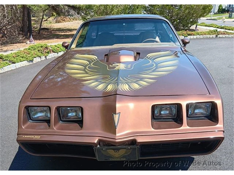 1971 Pontiac Firebird Trans Am 2nd Gen - Image 3 of 10