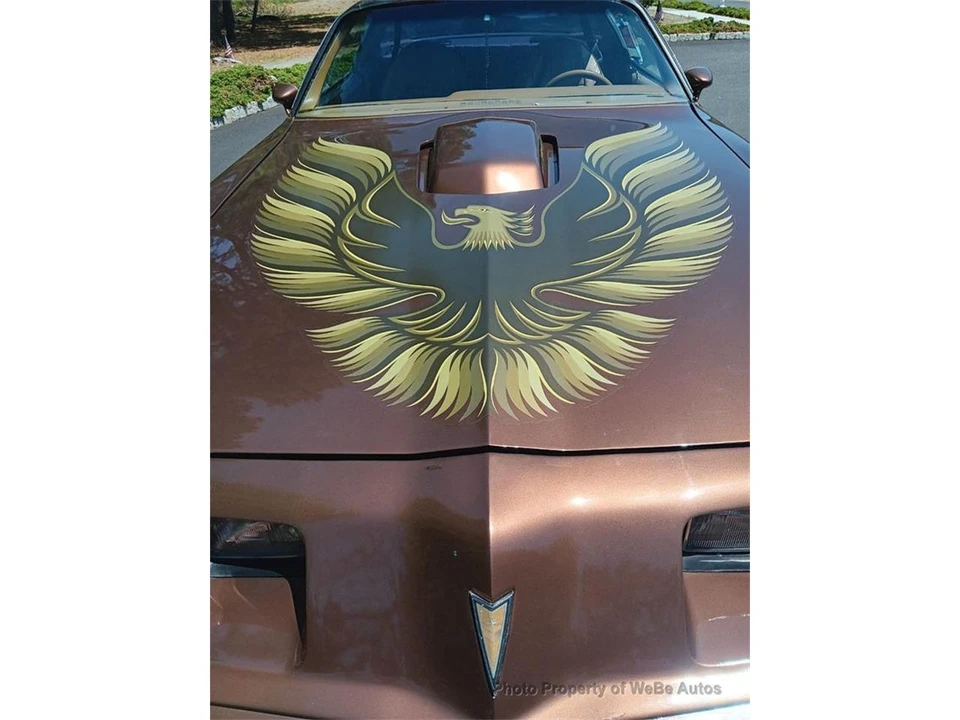 1971 Pontiac Firebird Trans Am 2nd Gen - Image 9 of 10