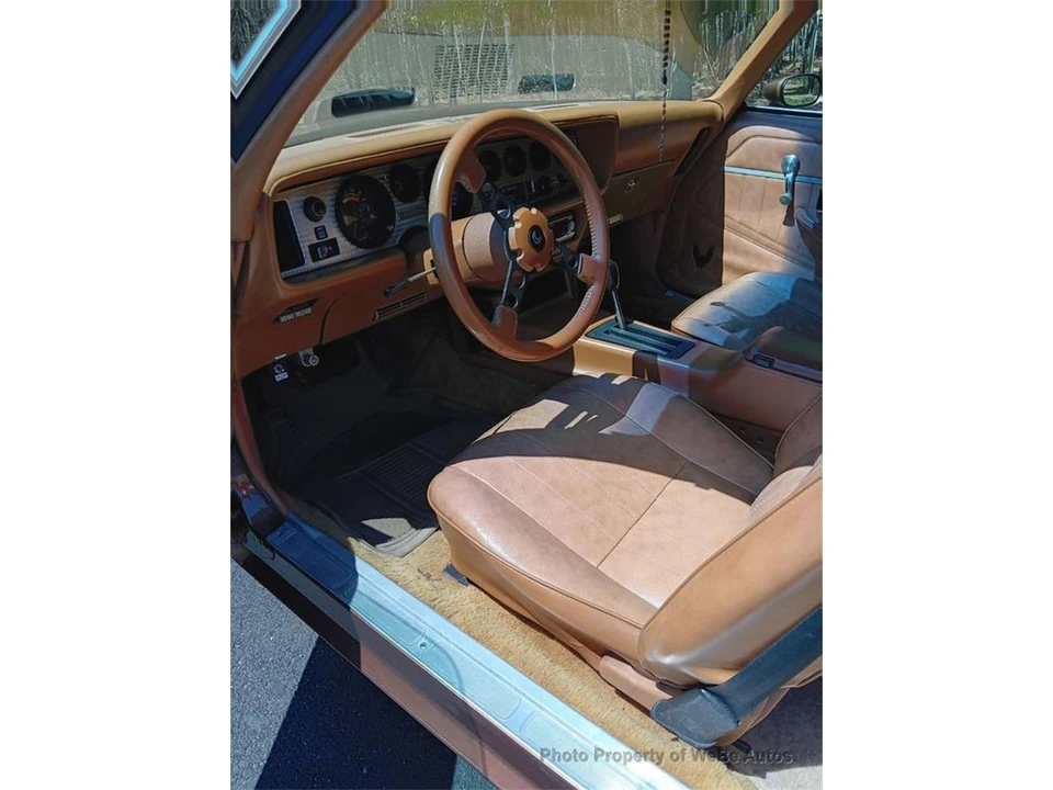 1971 Pontiac Firebird Trans Am 2nd Gen - Image 10 of 10