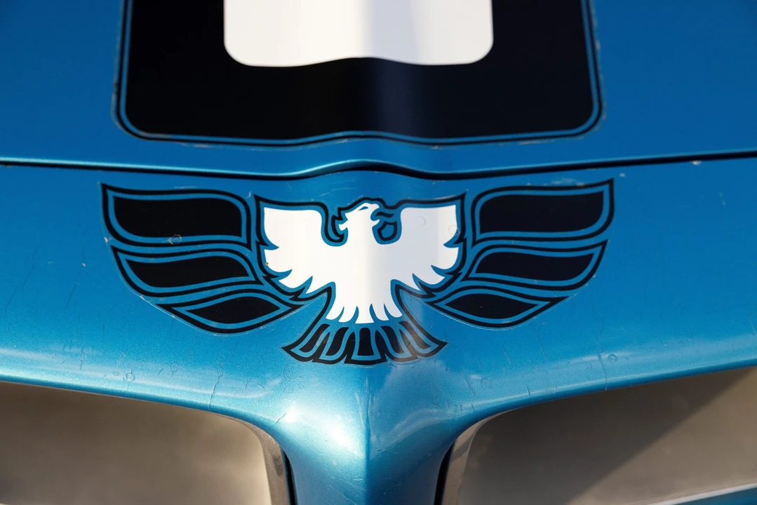 1971 Pontiac Firebird Trans Am 2nd Gen - Image 19 of 31