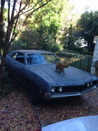 1971 Ford Torino 2nd Gen - Image 2 of 7