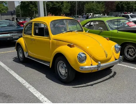 1971 Volkswagen Beetle