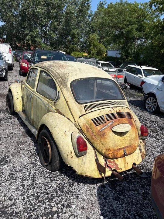 1971 Volkswagen Super Beetle - Image 2 of 11