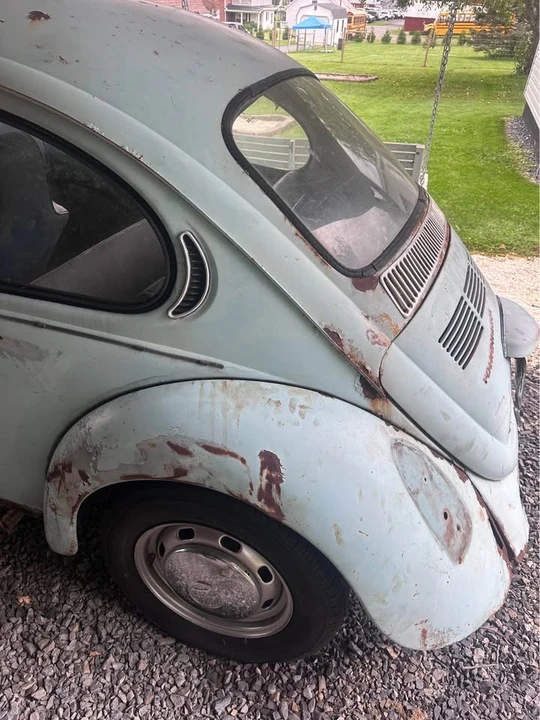 1971 Volkswagen Beetle - Image 3 of 16