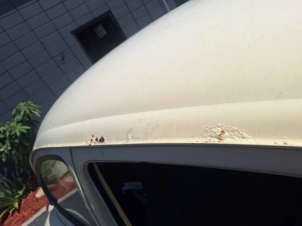 1971 Volkswagen Super Beetle - Image 5 of 11