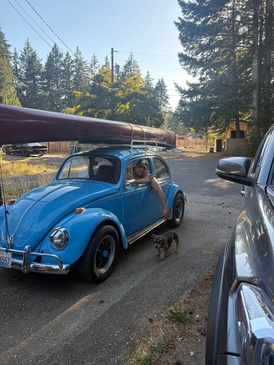 1971 Volkswagen Super Beetle - Image 4 of 7