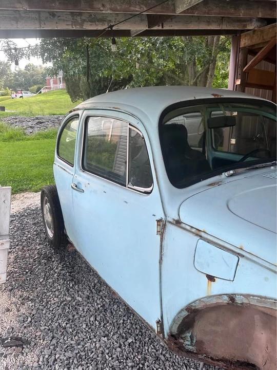 1971 Volkswagen Beetle - Image 5 of 20