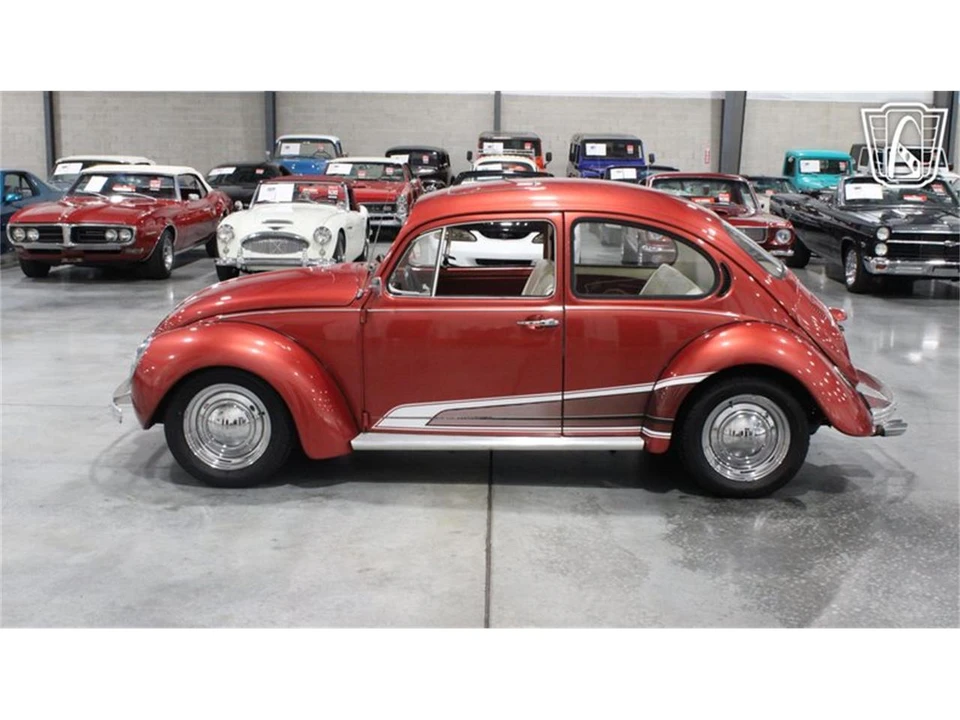 1971 Volkswagen Beetle (1958-1979) - Image 9 of 31