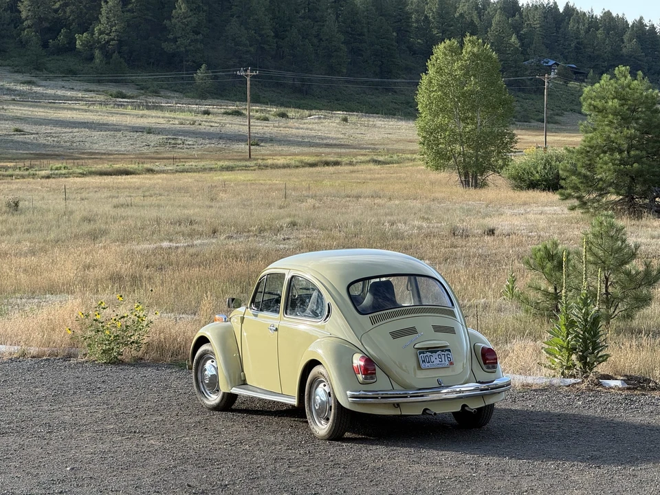 1971 Volkswagen Beetle (1958-1979) - Image 11 of 31